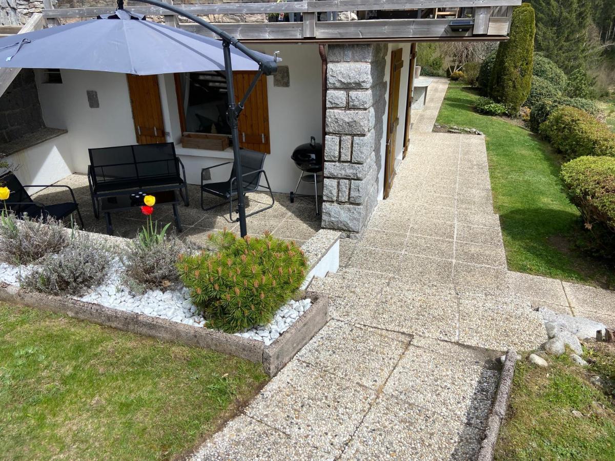 Appartement De Montagne Au Chalet De Snow Xonrupt-Longemer Exterior photo
